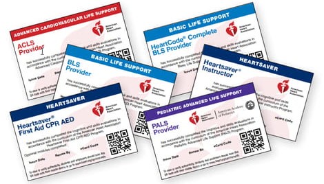 aha certification classes certified in 1 day
